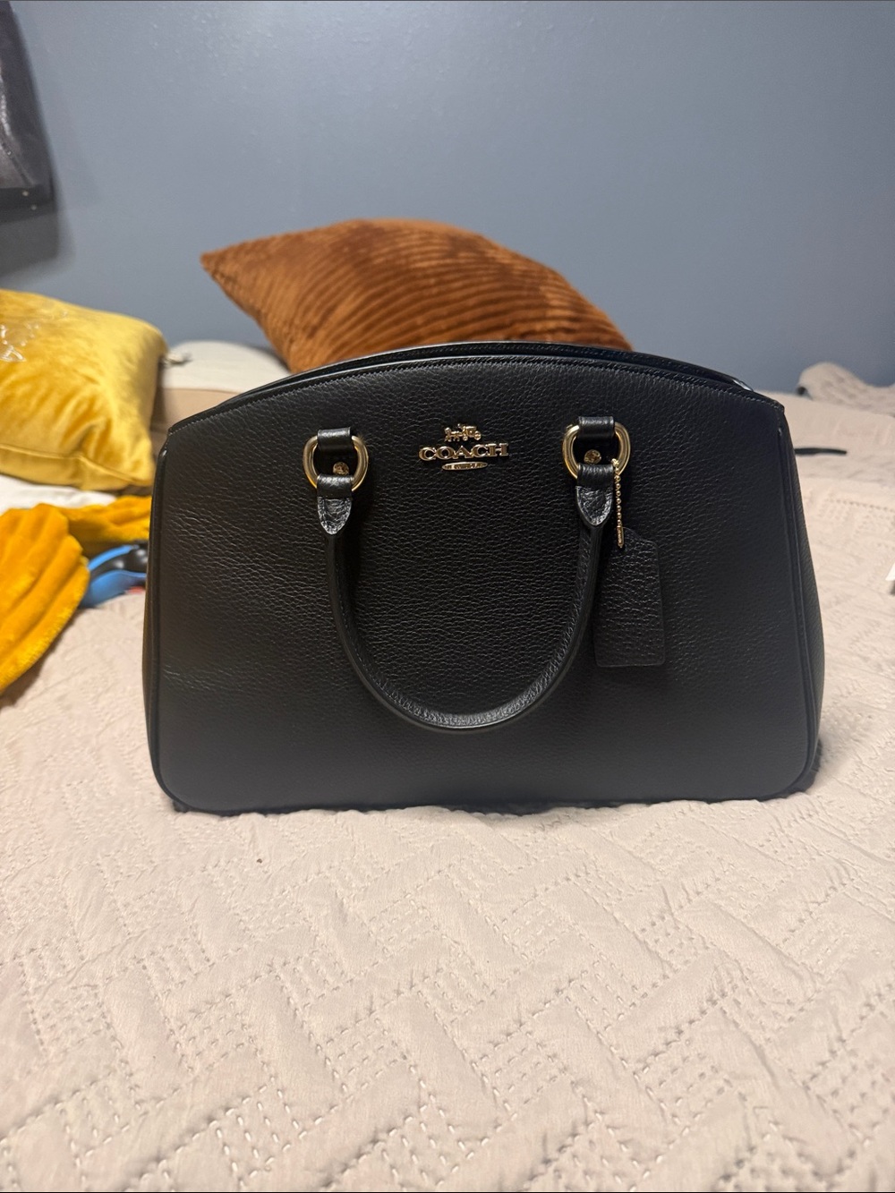 Coach Savannah Carry All Satchel
